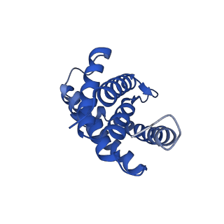 12483_7nnt_C_v1-1
Cryo-EM structure of the folate-specific ECF transporter complex in DDM micelles