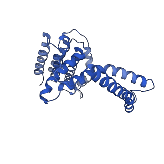 12483_7nnt_D_v1-1
Cryo-EM structure of the folate-specific ECF transporter complex in DDM micelles