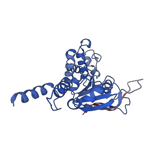 12484_7nnu_A_v1-1
Cryo-EM structure of the folate-specific ECF transporter complex in MSP2N2 lipid nanodiscs