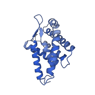 12484_7nnu_C_v1-1
Cryo-EM structure of the folate-specific ECF transporter complex in MSP2N2 lipid nanodiscs