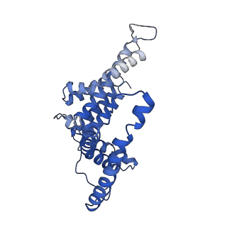 12484_7nnu_D_v1-1
Cryo-EM structure of the folate-specific ECF transporter complex in MSP2N2 lipid nanodiscs
