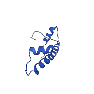 0468_6nog_B_v1-3
Poised-state Dot1L bound to the H2B-Ubiquitinated nucleosome