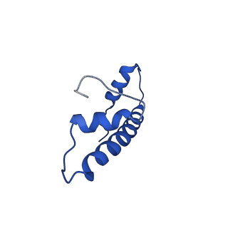 0468_6nog_B_v1-4
Poised-state Dot1L bound to the H2B-Ubiquitinated nucleosome