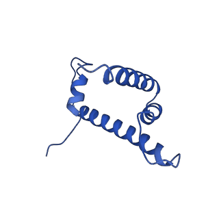 0468_6nog_H_v1-3
Poised-state Dot1L bound to the H2B-Ubiquitinated nucleosome
