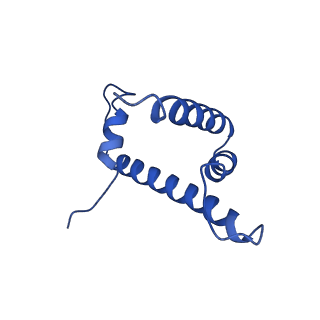 0468_6nog_H_v1-4
Poised-state Dot1L bound to the H2B-Ubiquitinated nucleosome