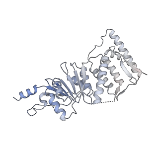 0468_6nog_K_v1-3
Poised-state Dot1L bound to the H2B-Ubiquitinated nucleosome