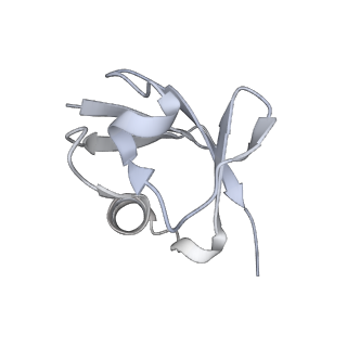 0468_6nog_L_v1-4
Poised-state Dot1L bound to the H2B-Ubiquitinated nucleosome