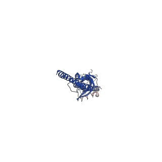 0469_6np0_B_v1-2
Cryo-EM structure of 5HT3A receptor in presence of granisetron