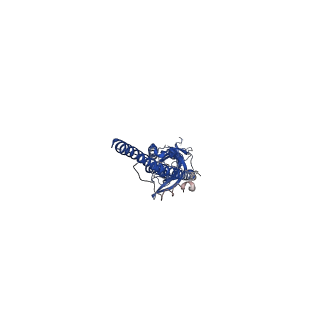 0469_6np0_B_v2-0
Cryo-EM structure of 5HT3A receptor in presence of granisetron