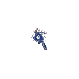 0469_6np0_D_v1-2
Cryo-EM structure of 5HT3A receptor in presence of granisetron