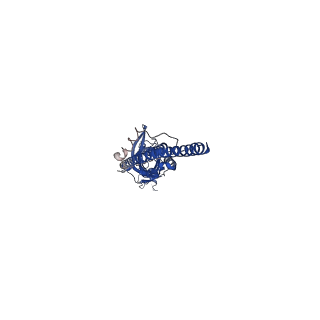 0469_6np0_E_v1-2
Cryo-EM structure of 5HT3A receptor in presence of granisetron