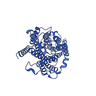 0470_6nph_B_v1-3
Structure of NKCC1 TM domain