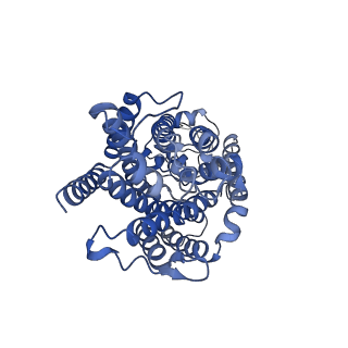 0472_6npk_A_v1-2
Structure of the TM domain