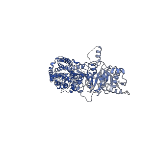 0473_6npl_A_v1-2
Cryo-EM structure of NKCC1