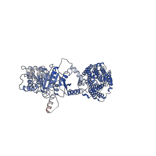 0473_6npl_B_v1-2
Cryo-EM structure of NKCC1