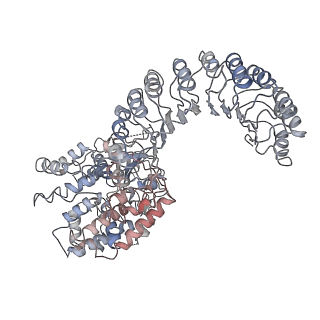 0476_6npy_A_v2-2
Cryo-EM structure of NLRP3 bound to NEK7