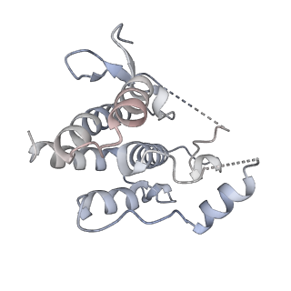 0476_6npy_B_v2-2
Cryo-EM structure of NLRP3 bound to NEK7