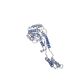 12514_7np7_C1_v1-0
Structure of an intact ESX-5 inner membrane complex, Composite C1 model