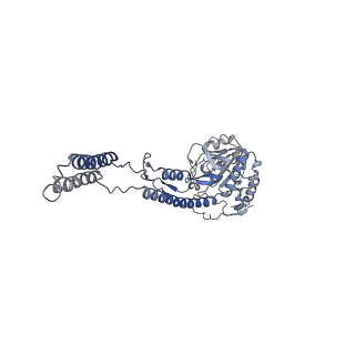 12514_7np7_C3_v1-0
Structure of an intact ESX-5 inner membrane complex, Composite C1 model