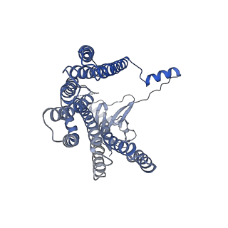 12514_7np7_D4_v1-0
Structure of an intact ESX-5 inner membrane complex, Composite C1 model