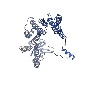 12514_7np7_D6_v1-0
Structure of an intact ESX-5 inner membrane complex, Composite C1 model