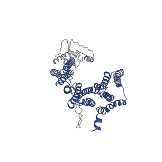 12514_7np7_D7_v1-0
Structure of an intact ESX-5 inner membrane complex, Composite C1 model