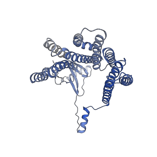 12514_7np7_D8_v1-0
Structure of an intact ESX-5 inner membrane complex, Composite C1 model
