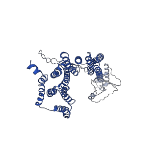 12514_7np7_DB_v1-0
Structure of an intact ESX-5 inner membrane complex, Composite C1 model