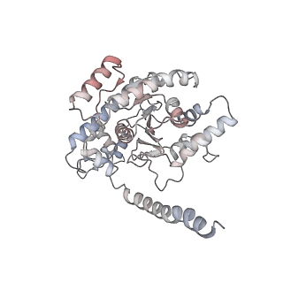 12515_7npf_A_v1-0
Vibrio cholerae ParA2-ATPyS-DNA filament