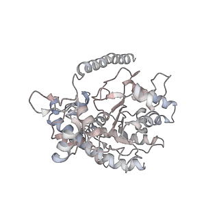 12515_7npf_B_v1-0
Vibrio cholerae ParA2-ATPyS-DNA filament