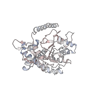 12515_7npf_B_v2-0
Vibrio cholerae ParA2-ATPyS-DNA filament