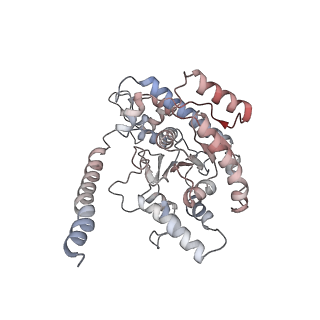12515_7npf_C_v1-0
Vibrio cholerae ParA2-ATPyS-DNA filament