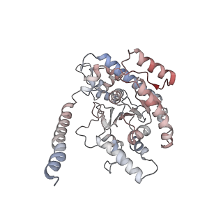 12515_7npf_C_v2-0
Vibrio cholerae ParA2-ATPyS-DNA filament