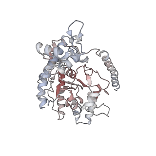 12515_7npf_D_v1-0
Vibrio cholerae ParA2-ATPyS-DNA filament
