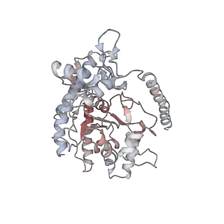 12515_7npf_D_v2-0
Vibrio cholerae ParA2-ATPyS-DNA filament
