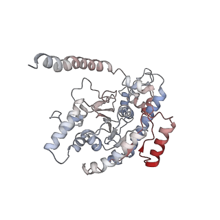 12515_7npf_E_v1-0
Vibrio cholerae ParA2-ATPyS-DNA filament