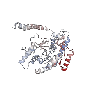12515_7npf_E_v2-0
Vibrio cholerae ParA2-ATPyS-DNA filament