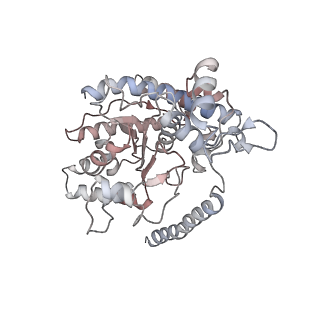 12515_7npf_F_v1-0
Vibrio cholerae ParA2-ATPyS-DNA filament
