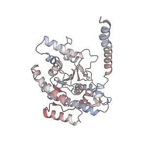 12515_7npf_G_v1-0
Vibrio cholerae ParA2-ATPyS-DNA filament