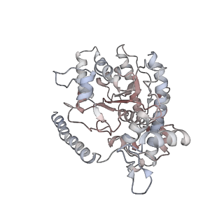 12515_7npf_H_v1-0
Vibrio cholerae ParA2-ATPyS-DNA filament