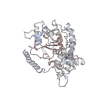 12515_7npf_H_v2-0
Vibrio cholerae ParA2-ATPyS-DNA filament
