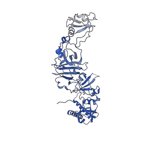 12517_7npr_B1_v1-0
Structure of an intact ESX-5 inner membrane complex, Composite C3 model