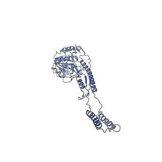 12517_7npr_C1_v1-0
Structure of an intact ESX-5 inner membrane complex, Composite C3 model