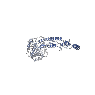 12517_7npr_C2_v1-0
Structure of an intact ESX-5 inner membrane complex, Composite C3 model