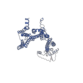 12517_7npr_D1_v1-0
Structure of an intact ESX-5 inner membrane complex, Composite C3 model