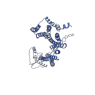 12517_7npr_D3_v1-0
Structure of an intact ESX-5 inner membrane complex, Composite C3 model