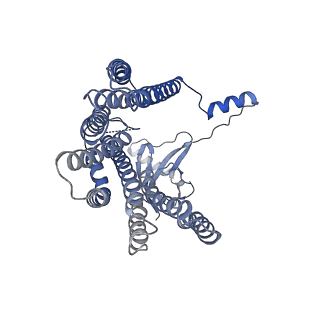 12517_7npr_D4_v1-0
Structure of an intact ESX-5 inner membrane complex, Composite C3 model