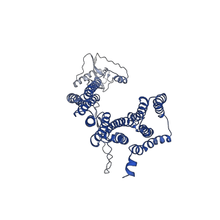 12517_7npr_D7_v1-0
Structure of an intact ESX-5 inner membrane complex, Composite C3 model