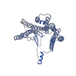 12517_7npr_D8_v1-0
Structure of an intact ESX-5 inner membrane complex, Composite C3 model