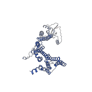 12517_7npr_D9_v1-0
Structure of an intact ESX-5 inner membrane complex, Composite C3 model